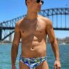 Regular Briefs