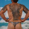 Regular Thong Briefs