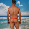 Classic Hipster Thong Briefs