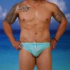 Mesh Regular Thong Briefs