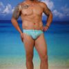 Mesh Regular Thong Briefs