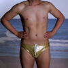Regular Briefs