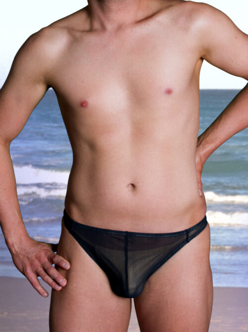 Mesh Brazilian Briefs