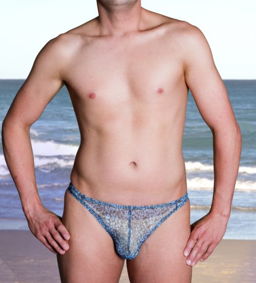 Mesh European Cut Briefs