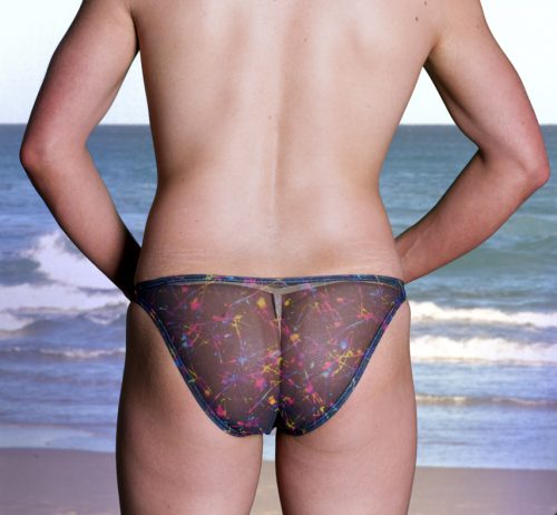 Mesh European Cut Briefs