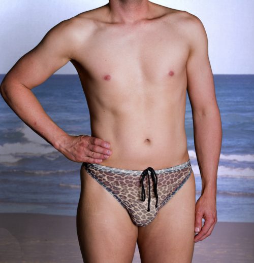 Mesh Regular Thong Briefs