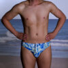 Regular Shaped Briefs