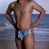 Regular Shaped Briefs