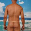 Decency Pant Liner ( See-through Protector)