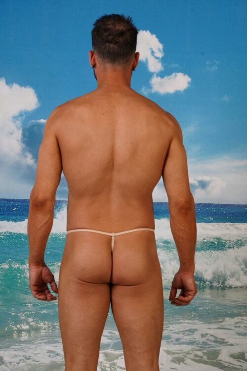 Decency Pant Liner ( See-through Protector)